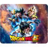 Colorful Printed Mouse Pad, D-47
