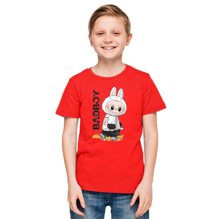 Labubu Round Neck Pure Cotton T-Shirt – Half Sleeves, Colorful Print DL11
